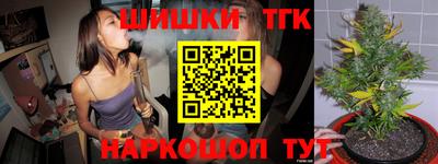 гашик Кандалакша