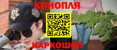 гашик Кандалакша