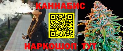 гашик Кандалакша