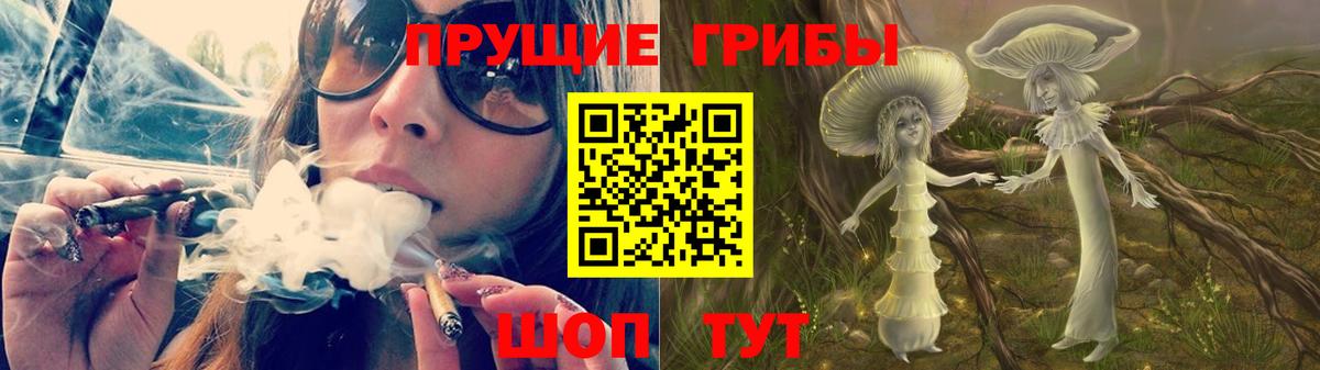Псилоцибиновые грибы MAGIC MUSHROOMS  Вход с VPN  Кунгур 